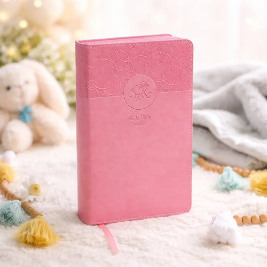 NIV, Baby Gift Bible, Holy Bible